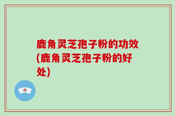 鹿角灵芝孢子粉的功效(鹿角灵芝孢子粉的好处)