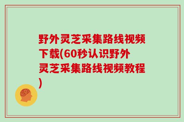 野外灵芝采集路线视频下载(60秒认识野外灵芝采集路线视频教程)