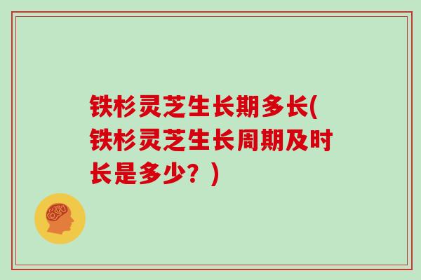 铁杉灵芝生长期多长(铁杉灵芝生长周期及时长是多少?)
