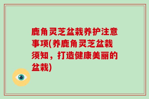 鹿角灵芝盆栽养护注意事项(养鹿角灵芝盆栽须知,打造健康美丽的盆栽)