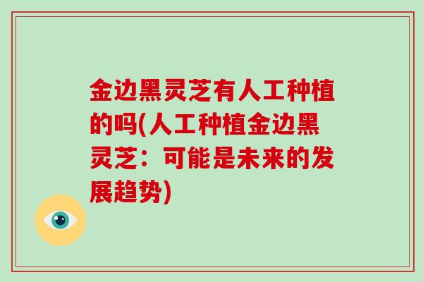 金边黑灵芝有人工种植的吗(人工种植金边黑灵芝:可能是未来的发展趋势)