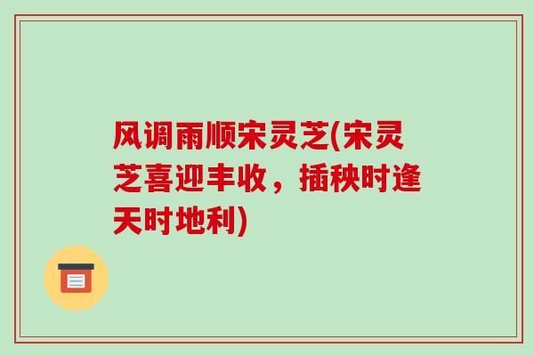 风调雨顺宋灵芝(宋灵芝喜迎丰收,插秧时逢天时地利)