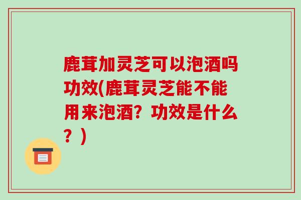 鹿茸加灵芝可以泡酒吗功效(鹿茸灵芝能不能用来泡酒?功效是什么?)