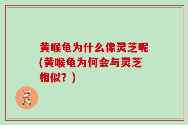 黄喉龟为什么像灵芝呢(黄喉龟为何会与灵芝相似?)