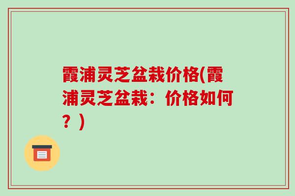 霞浦灵芝盆栽价格(霞浦灵芝盆栽:价格如何?)