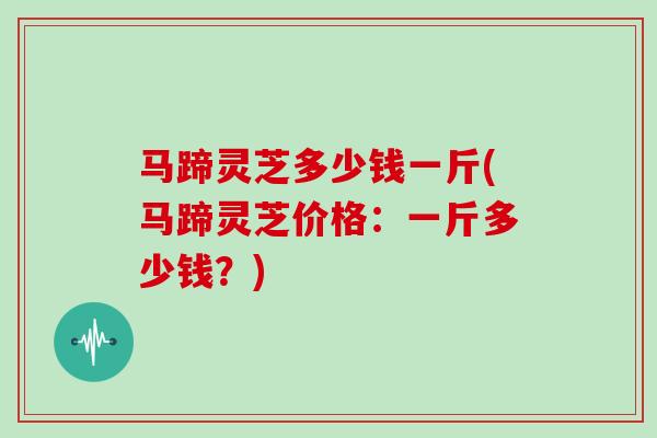 马蹄灵芝多少钱一斤(马蹄灵芝价格:一斤多少钱?)