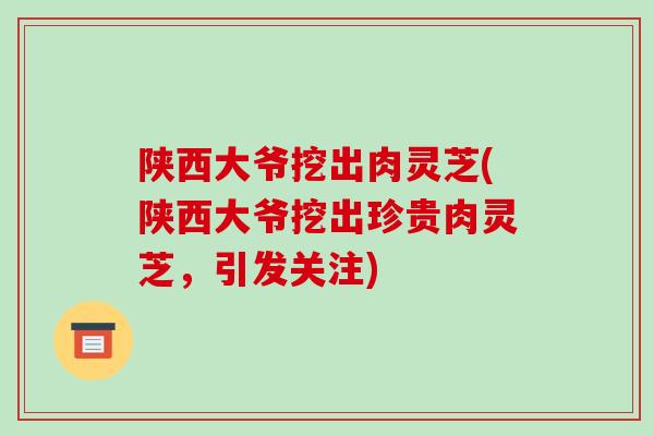 陕西大爷挖出肉灵芝(陕西大爷挖出珍贵肉灵芝,引发关注)
