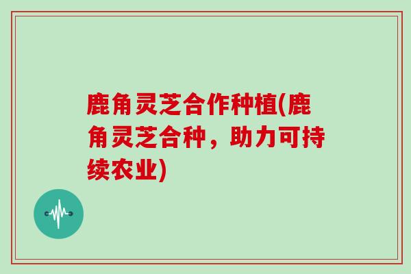 鹿角灵芝合作种植(鹿角灵芝合种，助力可持续农业)