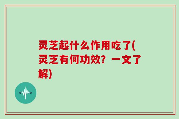 灵芝起什么作用吃了(灵芝有何功效?一文了解)