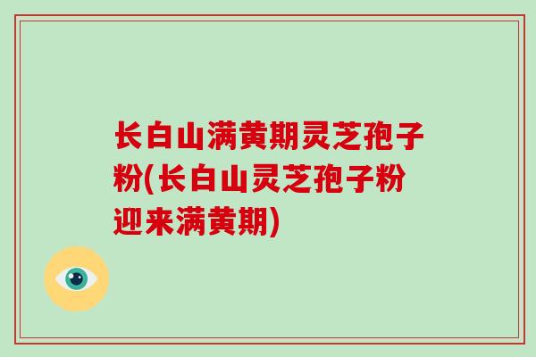 长白山满黄期灵芝孢子粉(长白山灵芝孢子粉迎来满黄期)