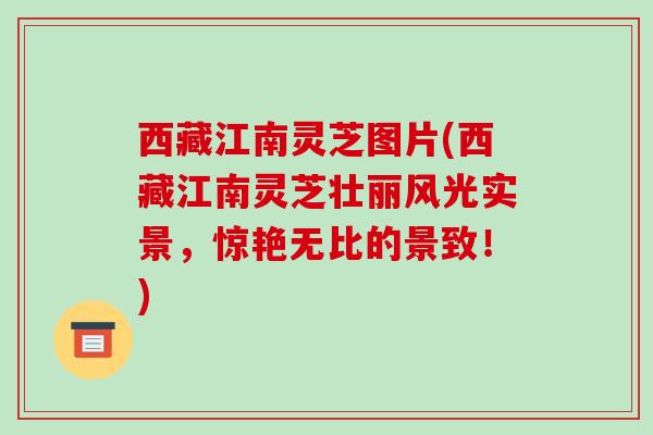 西藏江南灵芝图片(西藏江南灵芝壮丽风光实景,惊艳无比的景致!)
