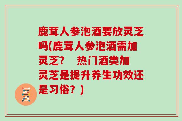鹿茸人参泡酒要放灵芝吗(鹿茸人参泡酒需加灵芝? 热门酒类加灵芝是提升养生功效还是习俗?)