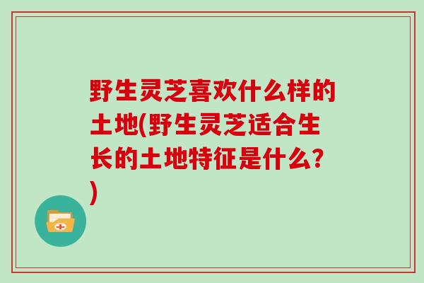 野生灵芝喜欢什么样的土地(野生灵芝适合生长的土地特征是什么？)