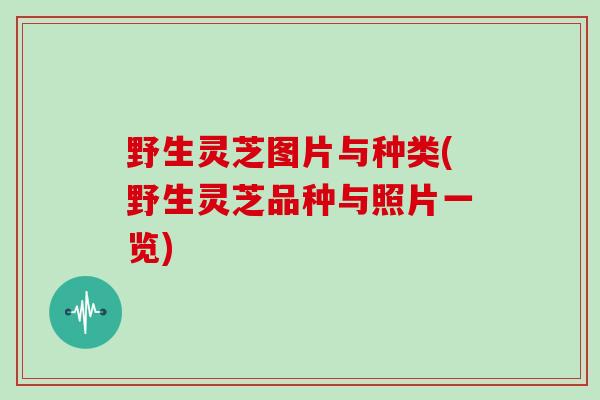 野生灵芝图片与种类(野生灵芝品种与照片一览)