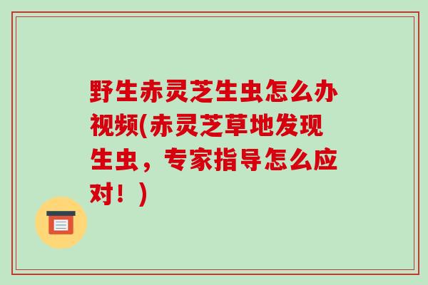 野生赤灵芝生虫怎么办视频(赤灵芝草地发现生虫,专家指导怎么应对!)
