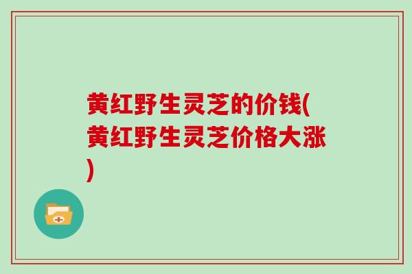 黄红野生灵芝的价钱(黄红野生灵芝价格大涨)