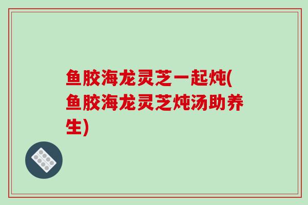 鱼胶海龙灵芝一起炖(鱼胶海龙灵芝炖汤助养生)