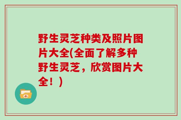 野生灵芝种类及照片图片大全(全面了解多种野生灵芝，欣赏图片大全！)