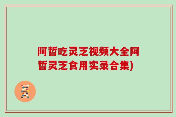 阿哲吃灵芝视频大全阿哲灵芝食用实录合集)