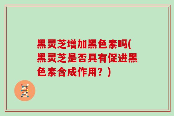 黑灵芝增加黑色素吗(黑灵芝是否具有促进黑色素合成作用?)