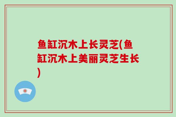 鱼缸沉木上长灵芝(鱼缸沉木上美丽灵芝生长)