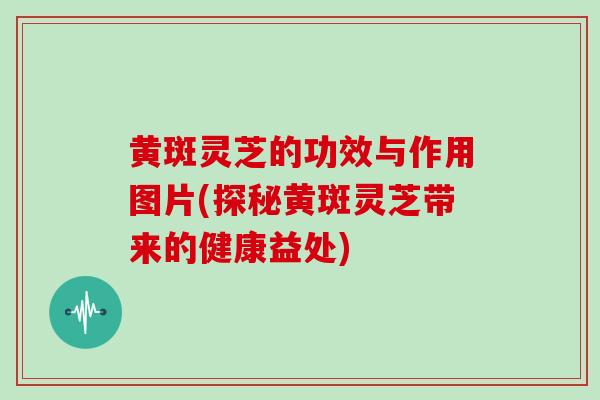 黄斑灵芝的功效与作用图片(探秘黄斑灵芝带来的健康益处)