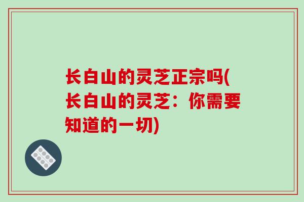 长白山的灵芝正宗吗(长白山的灵芝：你需要知道的一切)