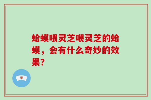 蛤蟆喂灵芝喂灵芝的蛤蟆,会有什么奇妙的效果?