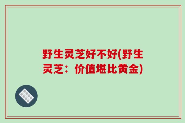 野生灵芝好不好(野生灵芝：价值堪比黄金)