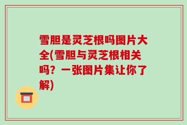 雪胆是灵芝根吗图片大全(雪胆与灵芝根相关吗？一张图片集让你了解)