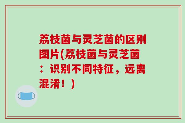 荔枝菌与灵芝菌的区别图片(荔枝菌与灵芝菌:识别不同特征,远离混淆!)