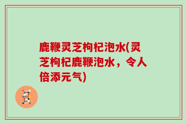 鹿鞭灵芝枸杞泡水(灵芝枸杞鹿鞭泡水,令人倍添元气)