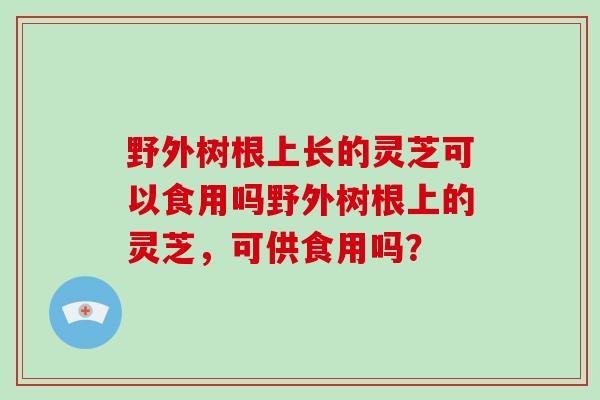 野外树根上长的灵芝可以食用吗野外树根上的灵芝，可供食用吗？