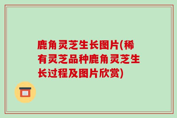 鹿角灵芝生长图片(稀有灵芝品种鹿角灵芝生长过程及图片欣赏)