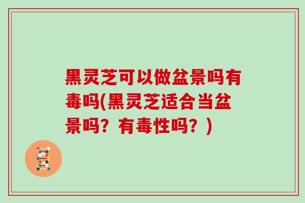 黑灵芝可以做盆景吗有毒吗(黑灵芝适合当盆景吗?有毒性吗?)