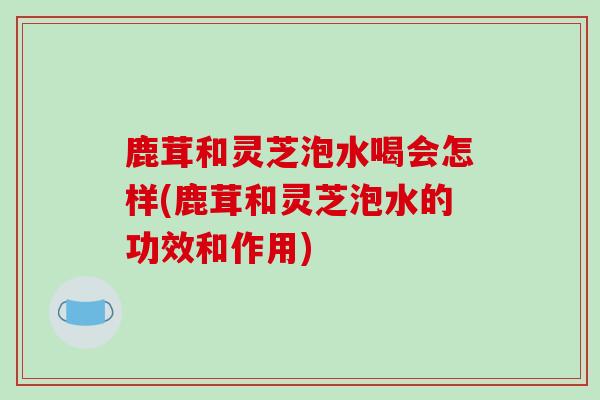 鹿茸和灵芝泡水喝会怎样(鹿茸和灵芝泡水的功效和作用)