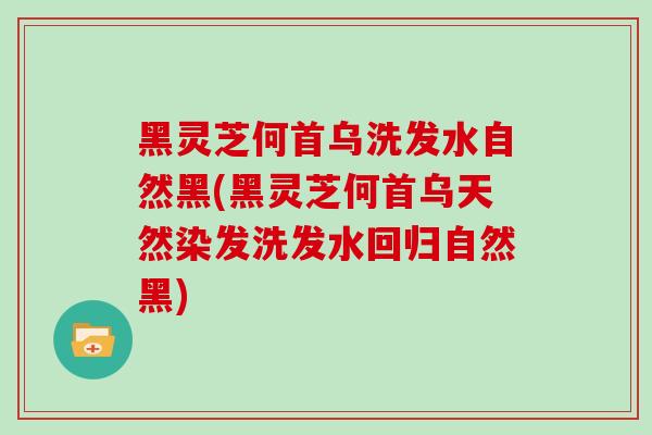 黑灵芝何首乌洗发水自然黑(黑灵芝何首乌天然染发洗发水回归自然黑)