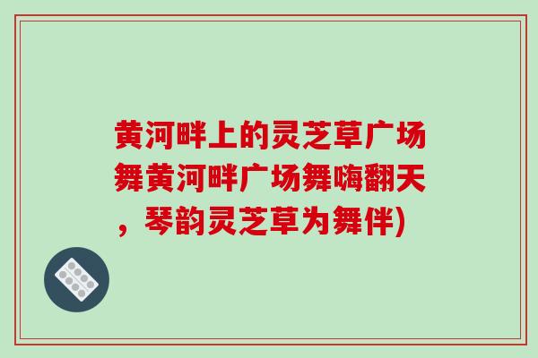 黄河畔上的灵芝草广场舞黄河畔广场舞嗨翻天,琴韵灵芝草为舞伴)
