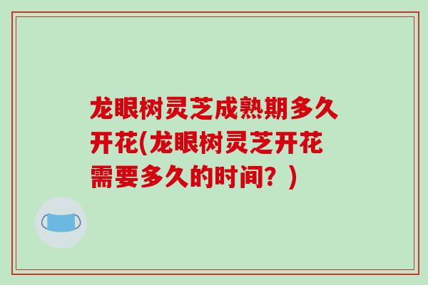 龙眼树灵芝成熟期多久开花(龙眼树灵芝开花需要多久的时间?)