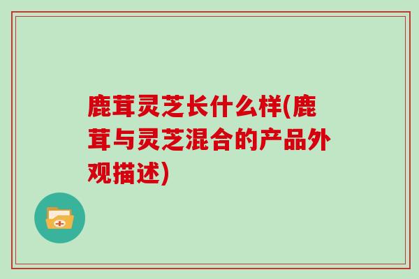 鹿茸灵芝长什么样(鹿茸与灵芝混合的产品外观描述)