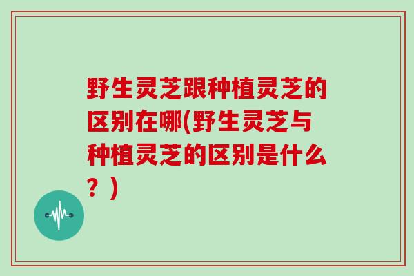 野生灵芝跟种植灵芝的区别在哪(野生灵芝与种植灵芝的区别是什么？)