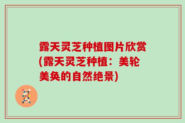 露天灵芝种植图片欣赏(露天灵芝种植:美轮美奂的自然绝景)