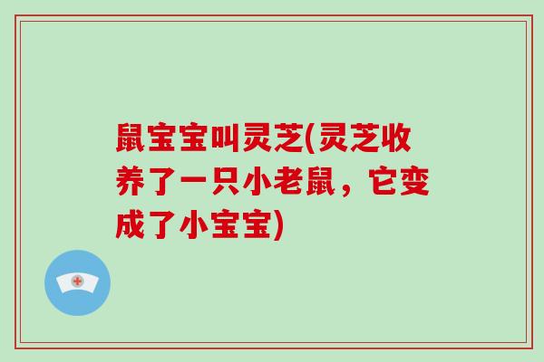 鼠宝宝叫灵芝(灵芝收养了一只小老鼠，它变成了小宝宝)
