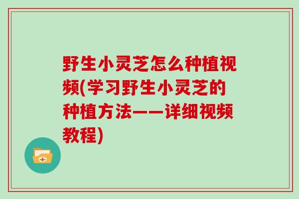 野生小灵芝怎么种植视频(学习野生小灵芝的种植方法——详细视频教程)