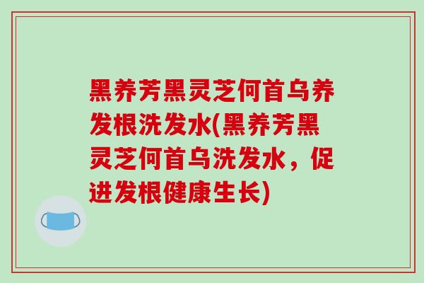 黑养芳黑灵芝何首乌养发根洗发水(黑养芳黑灵芝何首乌洗发水，促进发根健康生长)