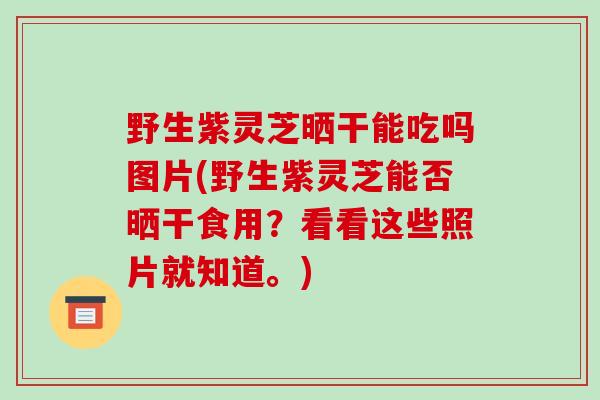 野生紫灵芝晒干能吃吗图片(野生紫灵芝能否晒干食用?看看这些照片就知道。)