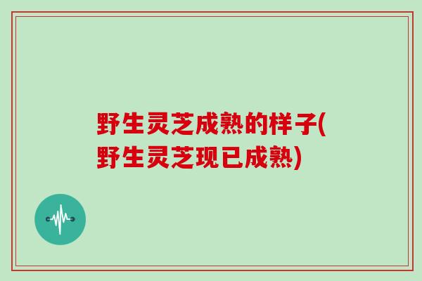 野生灵芝成熟的样子(野生灵芝现已成熟)