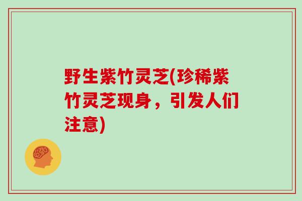 野生紫竹灵芝(珍稀紫竹灵芝现身，引发人们注意)