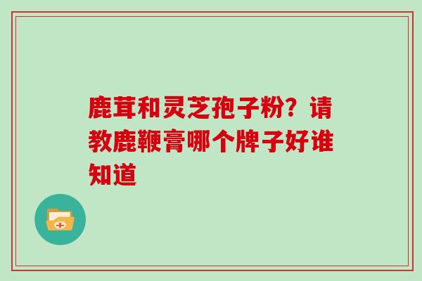 鹿茸和灵芝孢子粉？请教鹿鞭膏哪个牌子好谁知道