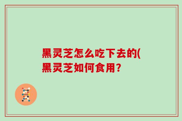 黑灵芝怎么吃下去的(黑灵芝如何食用？